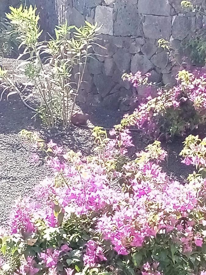 Casa Marilyn Villa Playa Blanca  Eksteriør bilde